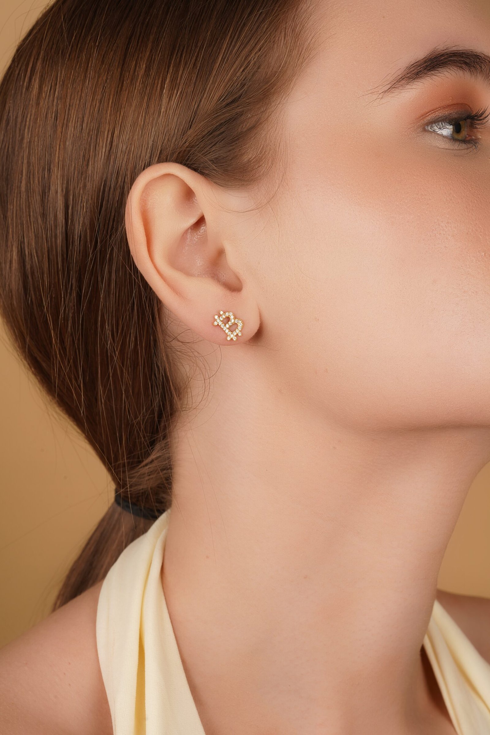 Bitcoin Eternal Spark Earings