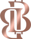 bitcoinbutik.com